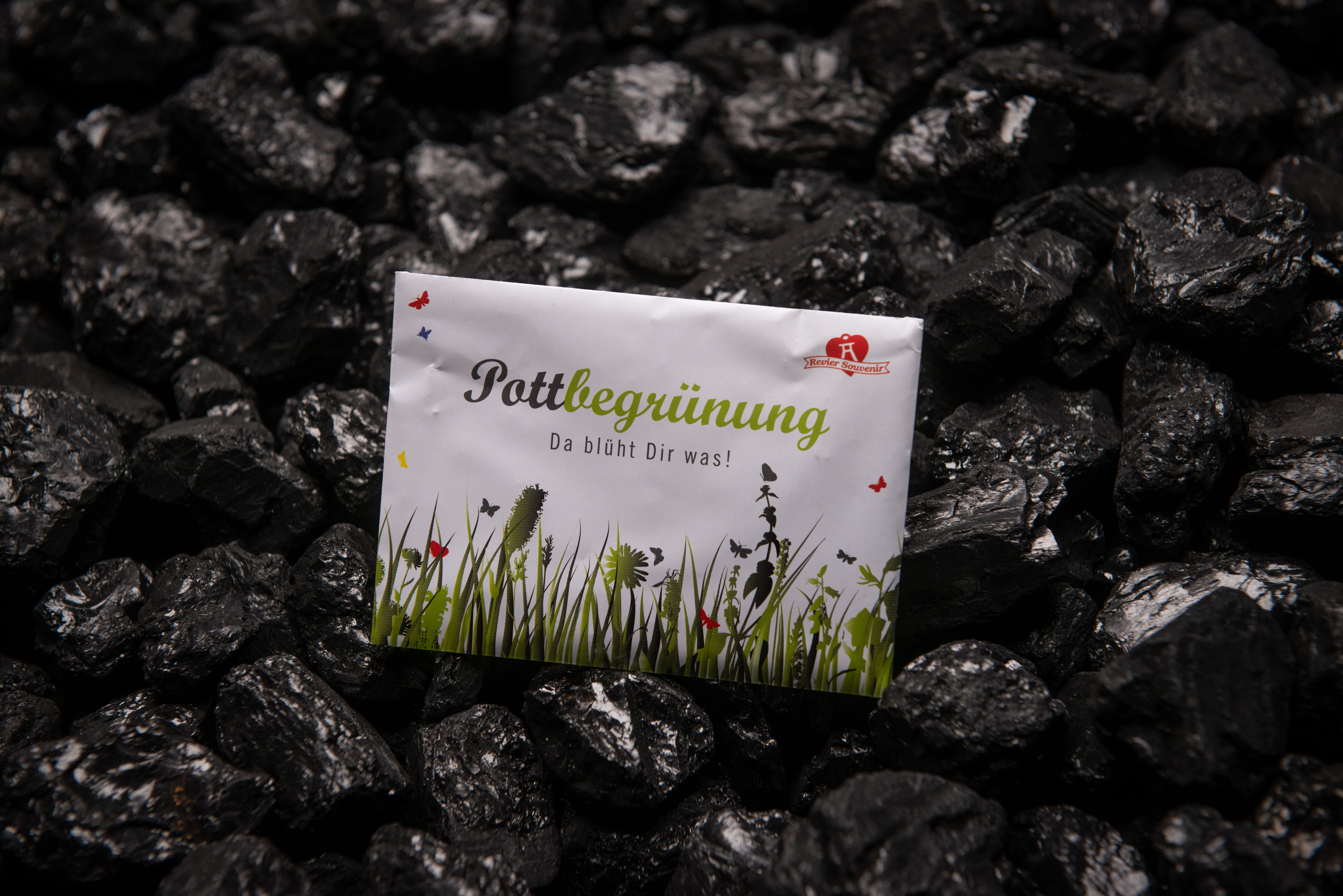 Revier Souvenir Pottbegrünung